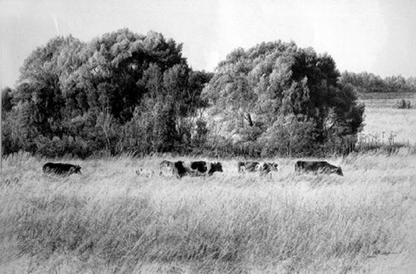 室内设计表现技法之钢笔画