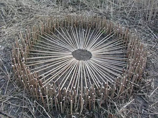 什么是绿色建筑?