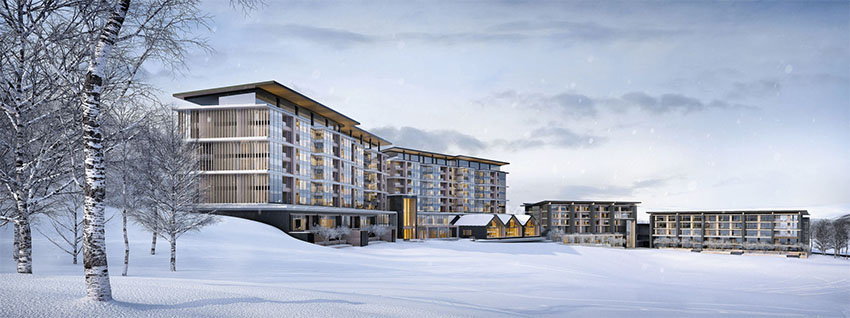 什么样的酒店更受欢迎?